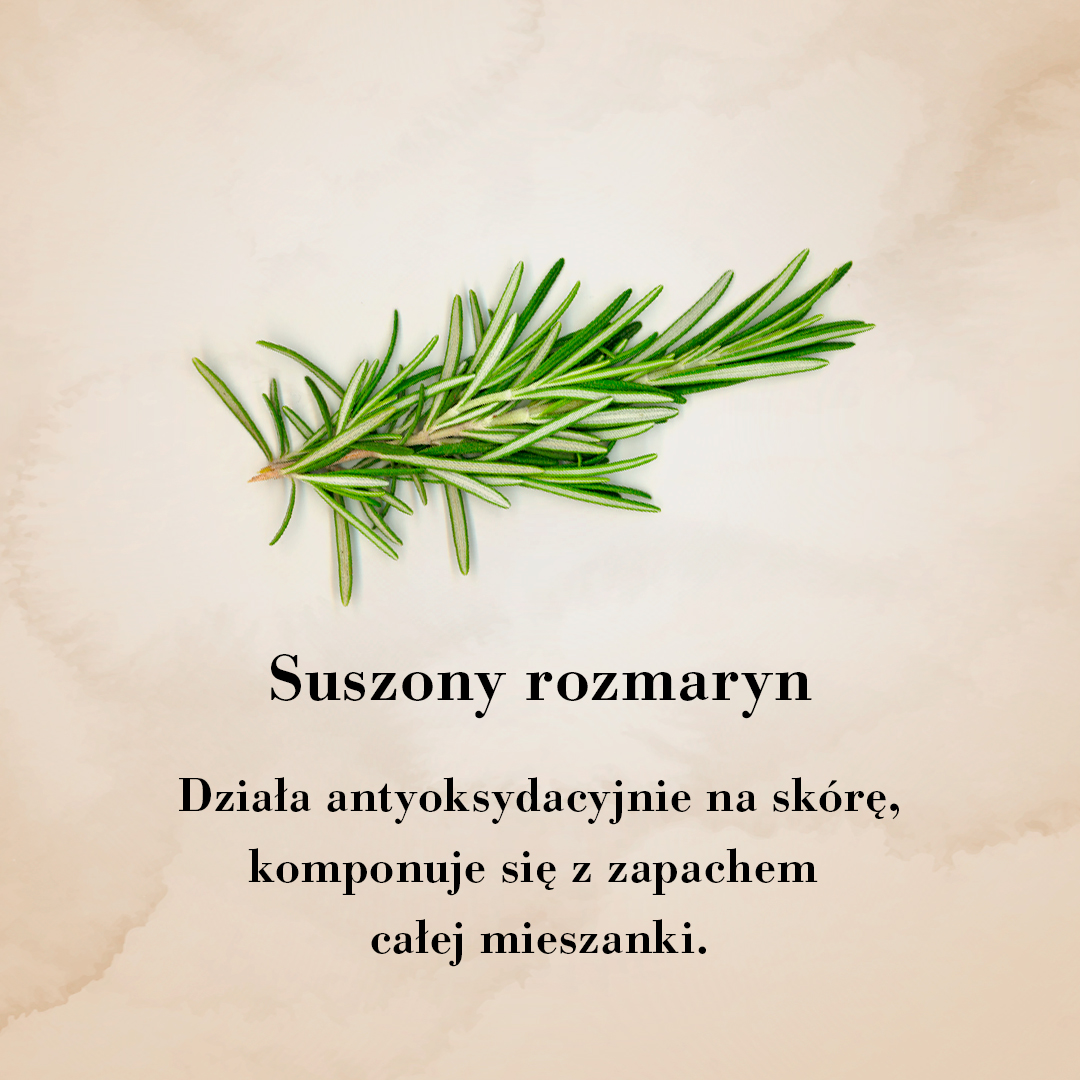 suszony rozmaryn